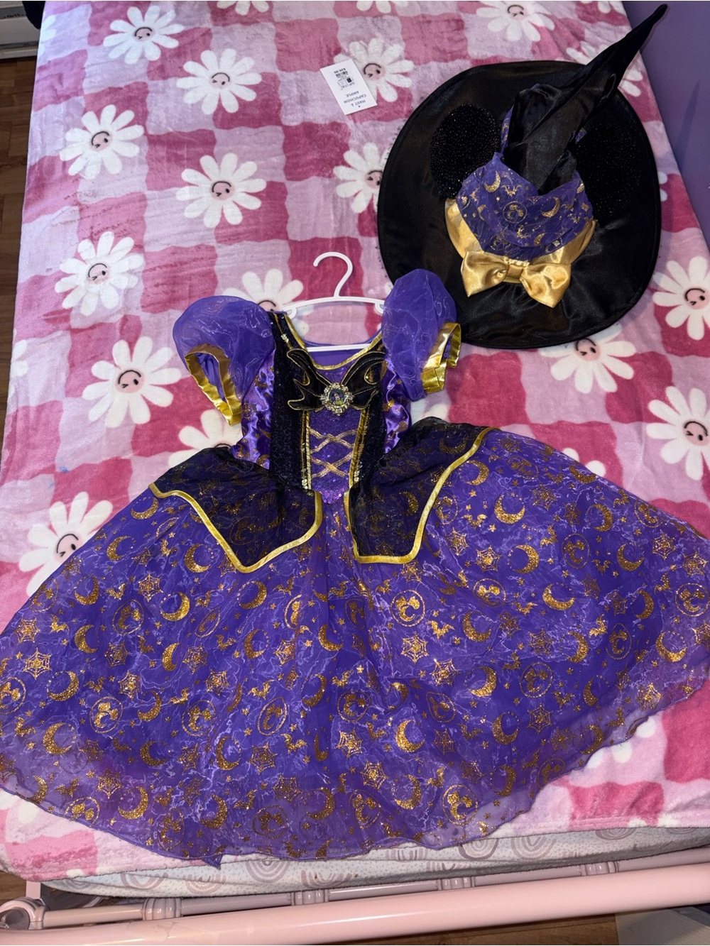 Purple and Gold Minnie Costume with Hat